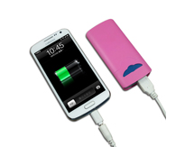 Charging treasure HY022